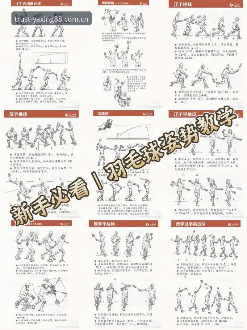 亚星体育平台操作教程详解：从入门到精通的完整指南